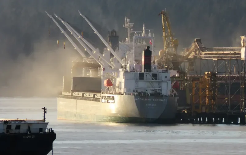 SN HARMONY Bulk Carrier IMO 9392810
