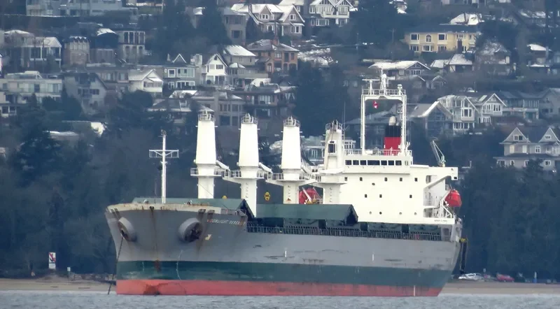 SN HARMONY Bulk Carrier IMO 9392810 photo 2