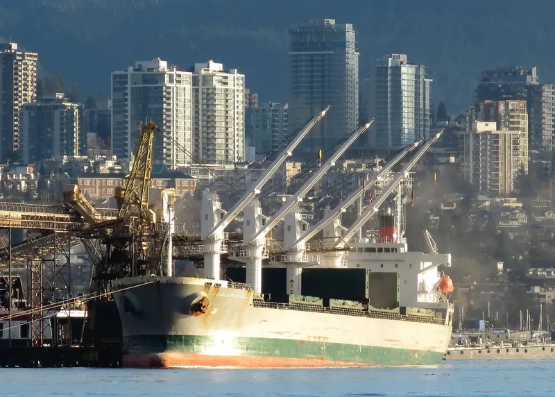 SN HARMONY Bulk Carrier IMO 9392810 photo 3