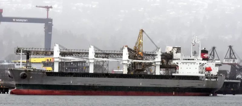 SN HARMONY Bulk Carrier IMO 9392810 photo 5
