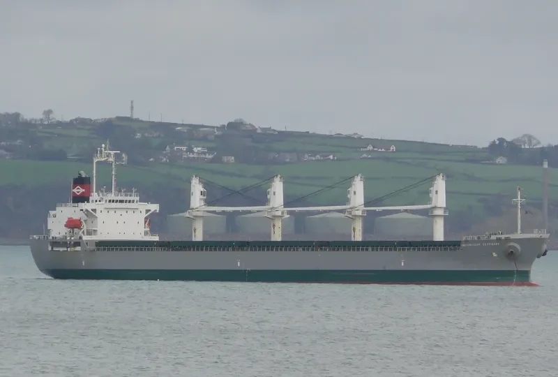 SN HARMONY Bulk Carrier IMO 9392810 photo 7