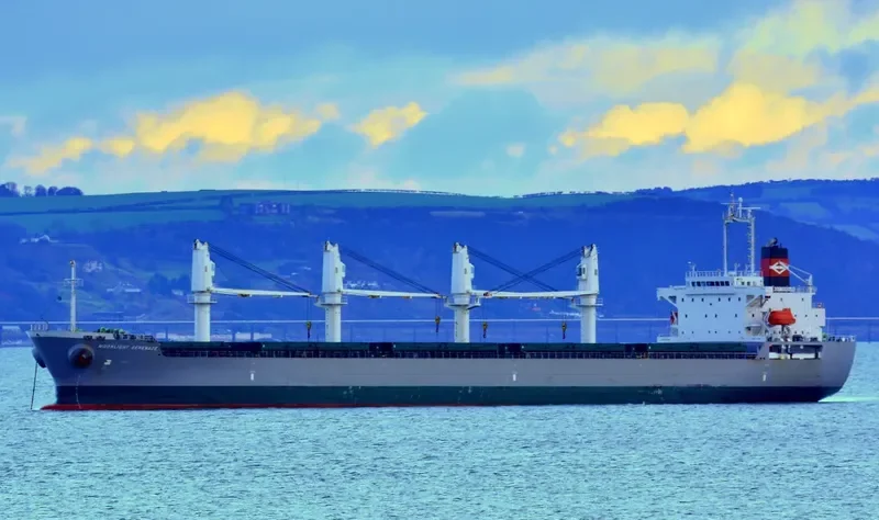 SN HARMONY Bulk Carrier IMO 9392810 photo 8