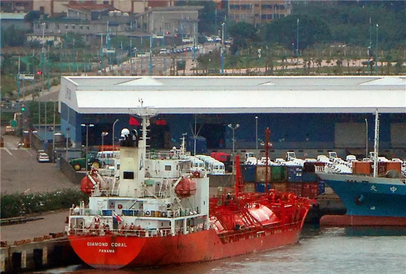 DIAMOND CORAL General Cargo IMO 9392884 photo 2