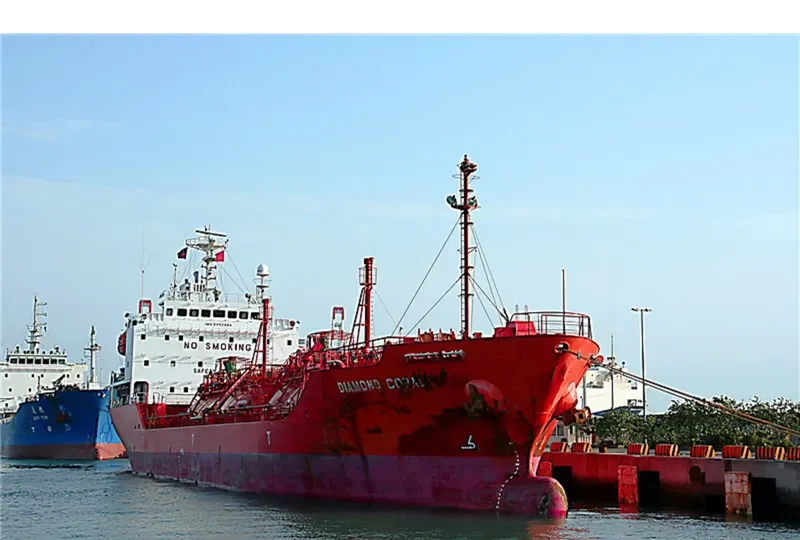 DIAMOND CORAL General Cargo IMO 9392884 photo 4