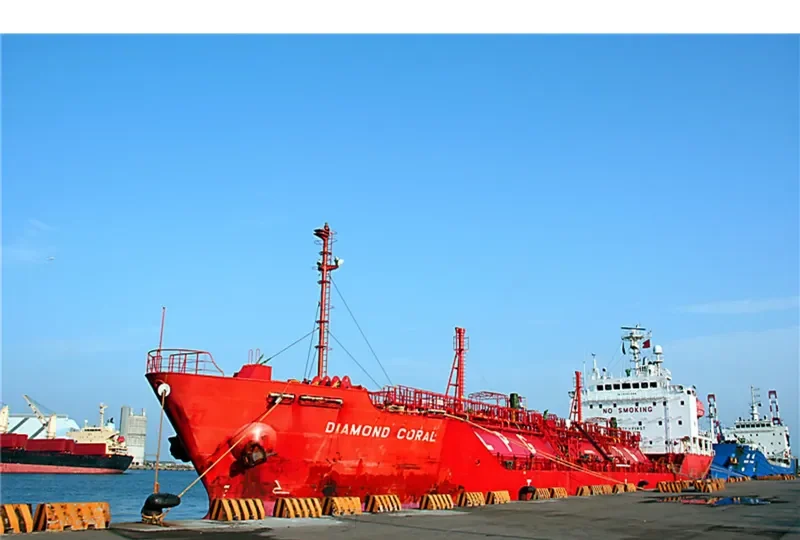 DIAMOND CORAL General Cargo IMO 9392884 photo 5