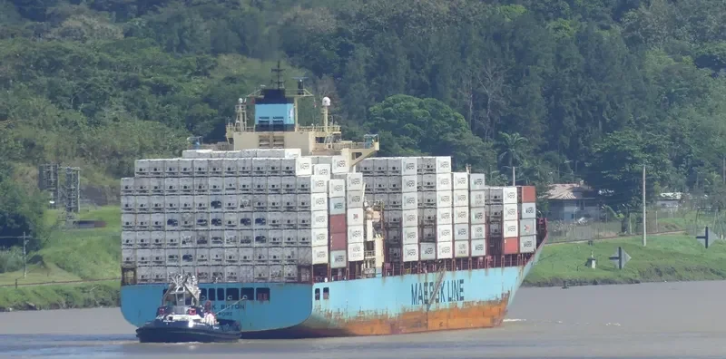 MAERSK BUTON Container Ship IMO 9392925 photo 3