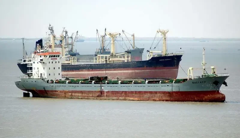 BALI AYU General Cargo IMO 9393046