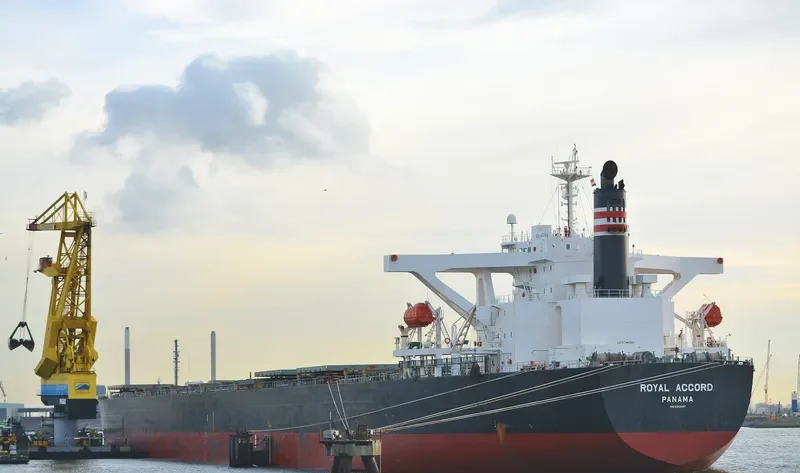 ROYAL IOLE Bulk Carrier IMO 9393187
