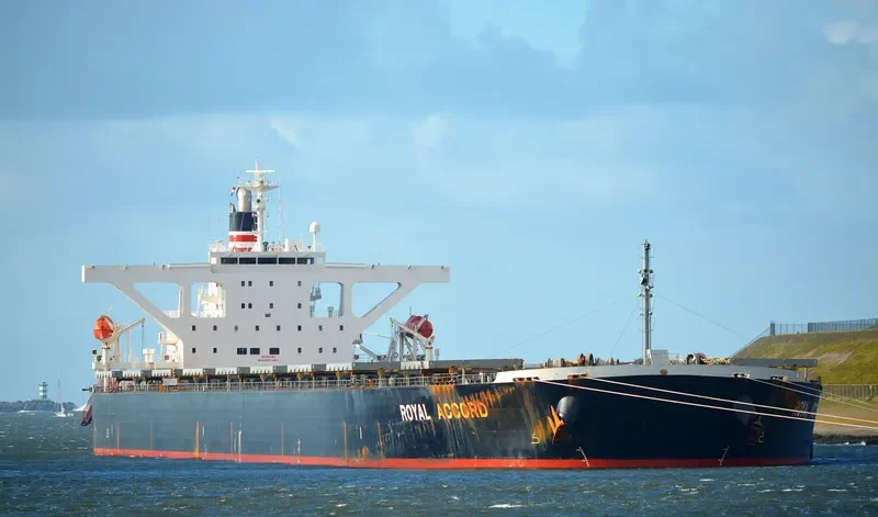 ROYAL IOLE Bulk Carrier IMO 9393187 photo 2