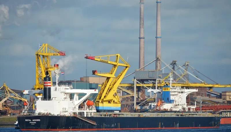 ROYAL IOLE Bulk Carrier IMO 9393187 photo 3