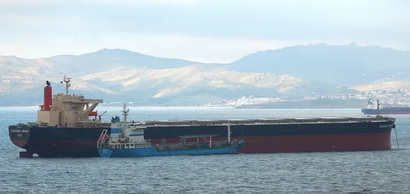 WINNING RISING Bulk Carrier IMO 9393199 photo 2