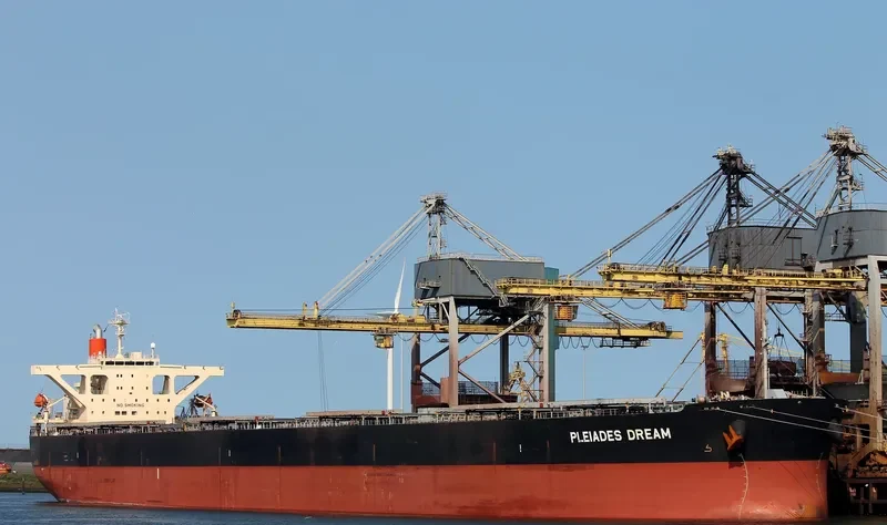 WINNING RISING Bulk Carrier IMO 9393199 photo 4