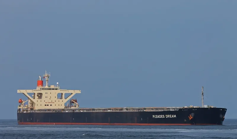 WINNING RISING Bulk Carrier IMO 9393199 photo 6