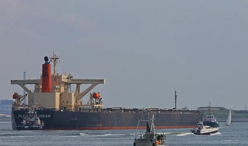 WINNING RISING Bulk Carrier IMO 9393199 photo 8