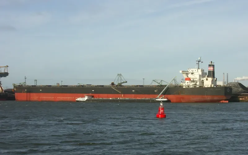 MOONLIGHT DOLPHIN Bulk Carrier IMO 9393216