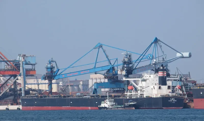 MOONLIGHT DOLPHIN Bulk Carrier IMO 9393216 photo 2