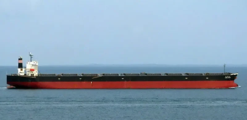 MOONLIGHT DOLPHIN Bulk Carrier IMO 9393216 photo 4