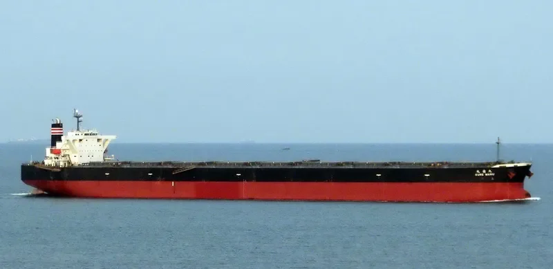 MOONLIGHT DOLPHIN Bulk Carrier IMO 9393216 photo 5