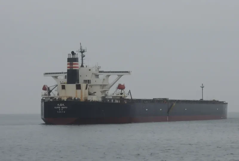 MOONLIGHT DOLPHIN Bulk Carrier IMO 9393216 photo 7