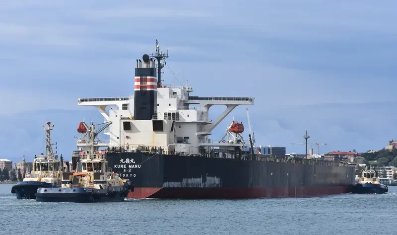 MOONLIGHT DOLPHIN Bulk Carrier IMO 9393216 photo 10