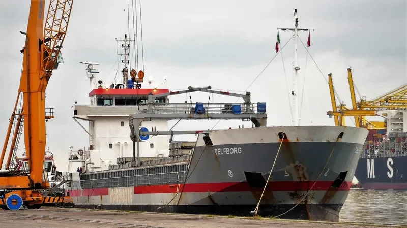 DELFBORG General Cargo IMO 9393266