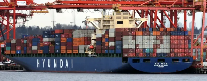 KOTOR BAY Container Ship IMO 9393319 photo 3
