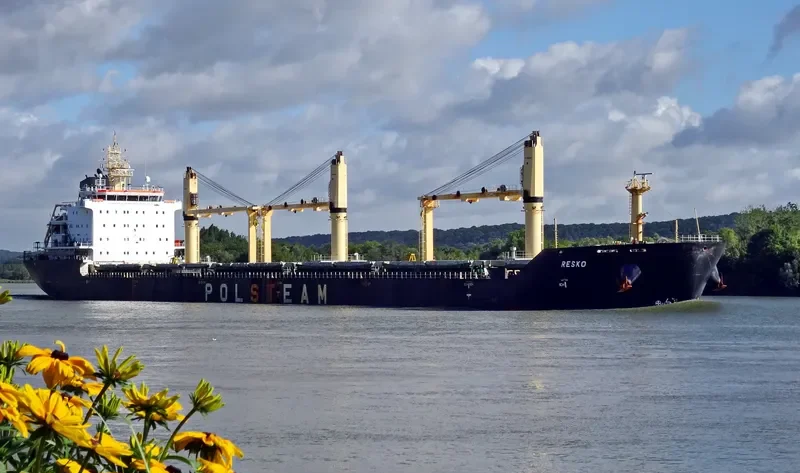 RESKO Bulk Carrier IMO 9393462