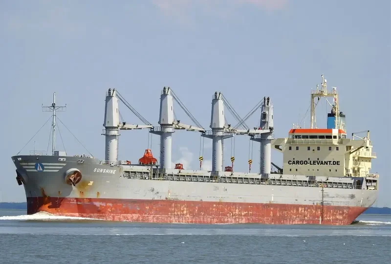 SUNSHINE Bulk Carrier IMO 9393632 photo 2
