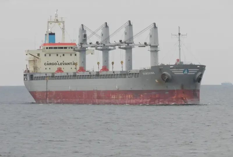 SUNSHINE Bulk Carrier IMO 9393632 photo 6