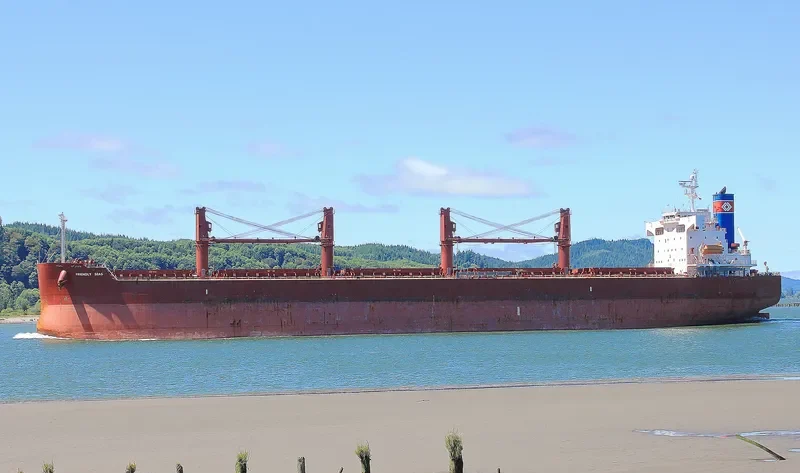 FRIENDLY SEAS Bulk Carrier IMO 9394832 photo 8