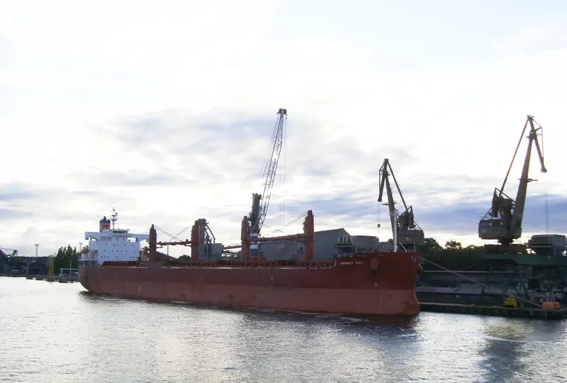 FRIENDLY SEAS Bulk Carrier IMO 9394832 photo 9