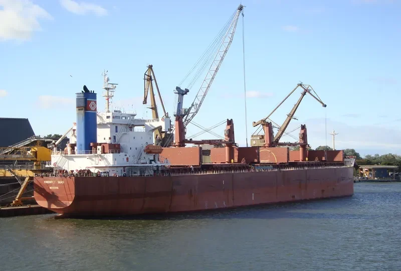 FRIENDLY SEAS Bulk Carrier IMO 9394832 photo 10