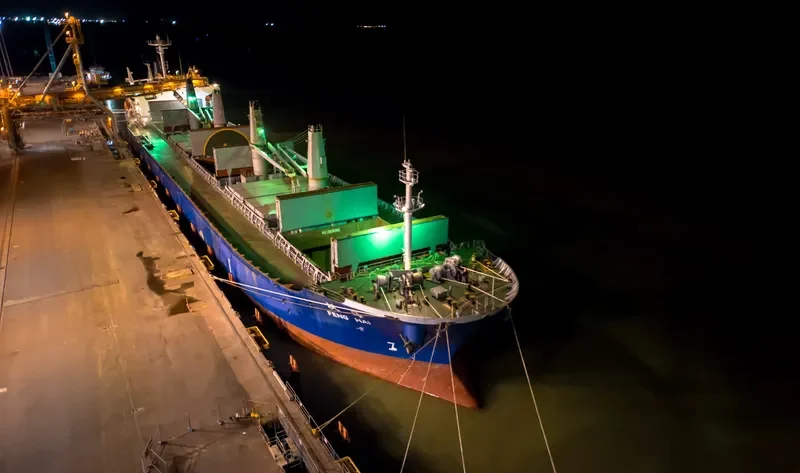 NIAN FENG HAI Bulk Carrier IMO 9395202