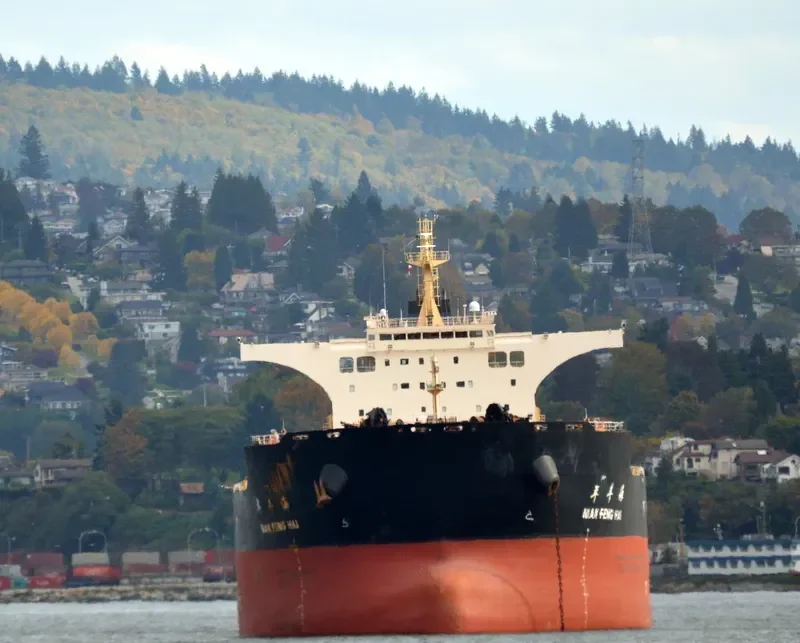NIAN FENG HAI Bulk Carrier IMO 9395202 photo 6