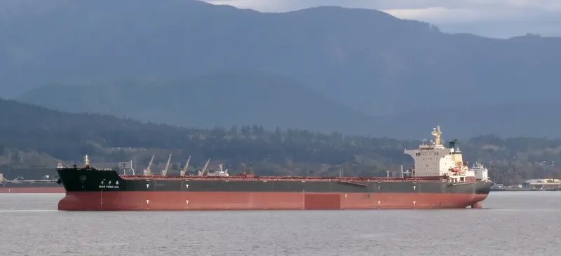 NIAN FENG HAI Bulk Carrier IMO 9395202 photo 7