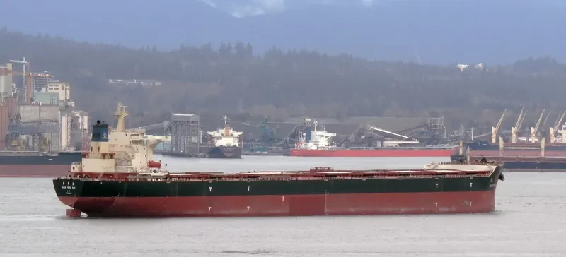 NIAN FENG HAI Bulk Carrier IMO 9395202 photo 10