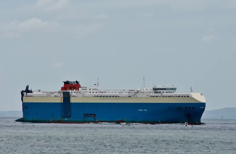 VIOLET ACE General Cargo IMO 9395630