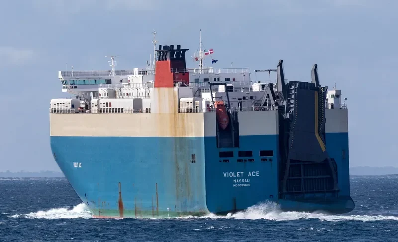 VIOLET ACE General Cargo IMO 9395630 photo 3