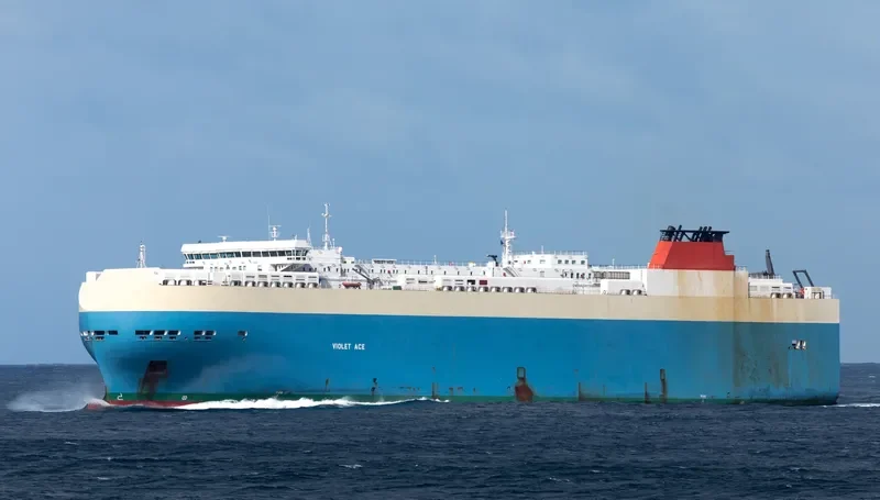 VIOLET ACE General Cargo IMO 9395630 photo 4