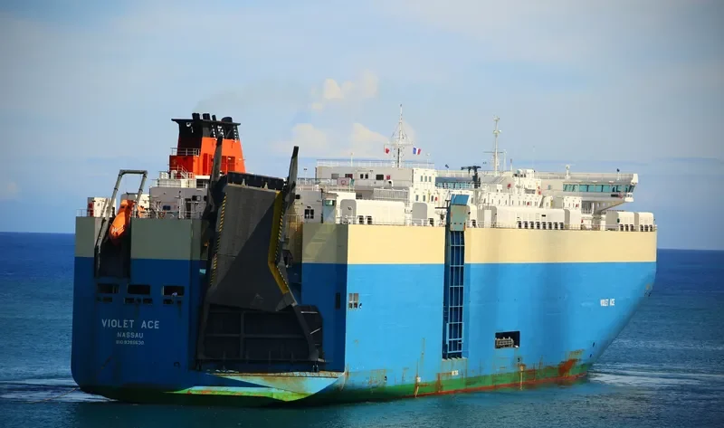 VIOLET ACE General Cargo IMO 9395630 photo 6