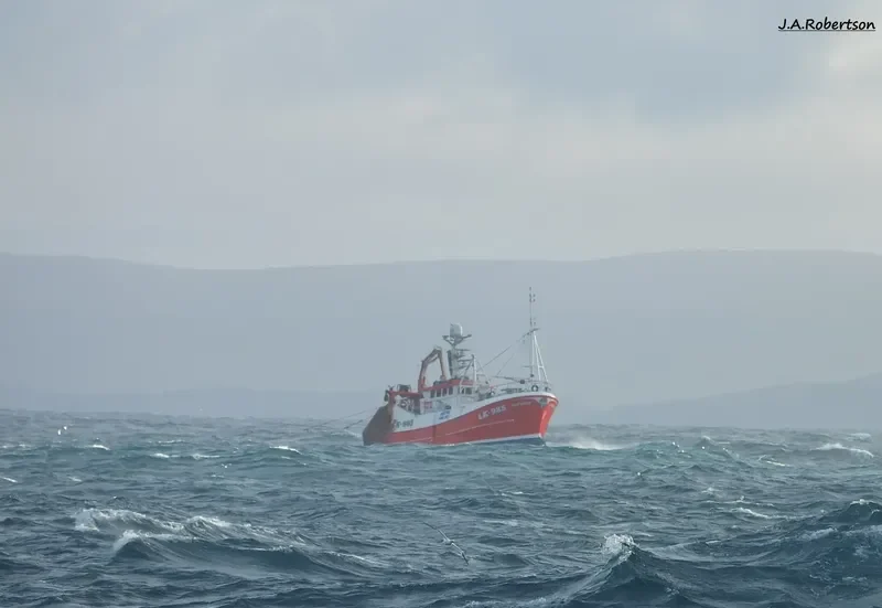 COPIOUS General Cargo IMO 9395757 photo 4