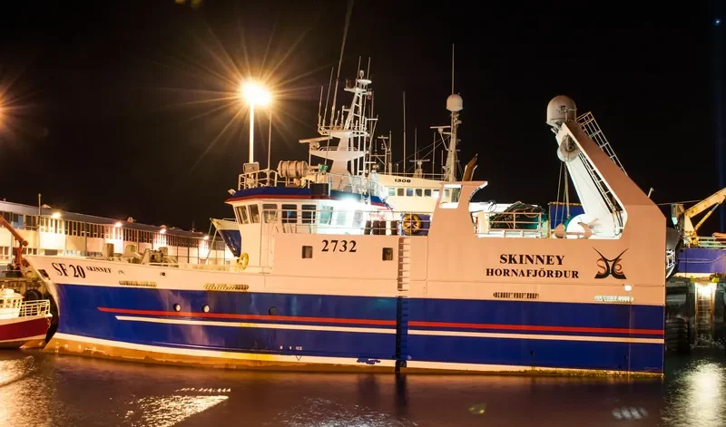 SKINNEY General Cargo IMO 9395898