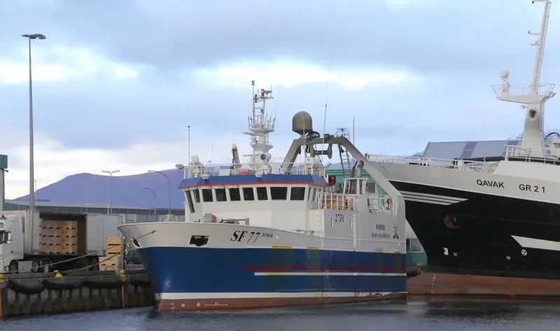 THORIR General Cargo IMO 9395903 photo 4