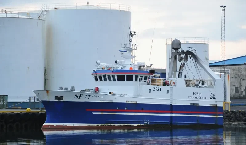 THORIR General Cargo IMO 9395903 photo 6