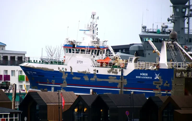 THORIR General Cargo IMO 9395903 photo 10