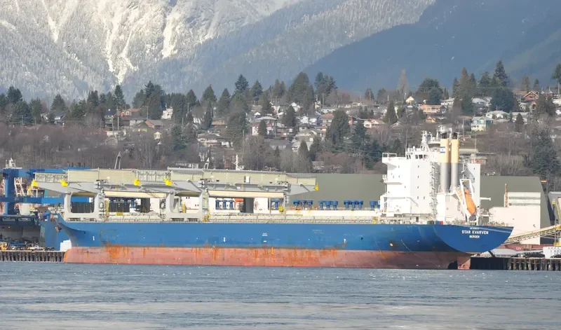 STAR KVARVEN Container Ship IMO 9396153 photo 6