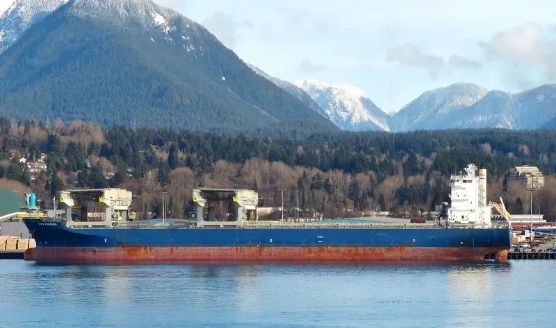 STAR KVARVEN Container Ship IMO 9396153 photo 7