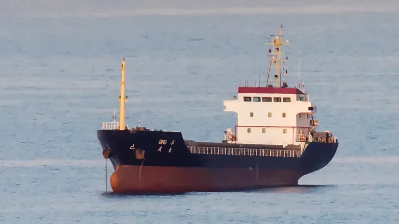 QING JI Bulk Carrier IMO 9396256 photo 3