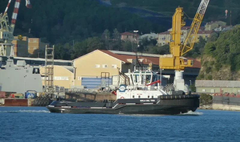 ISOLA DEL TINO General Cargo IMO 9396402