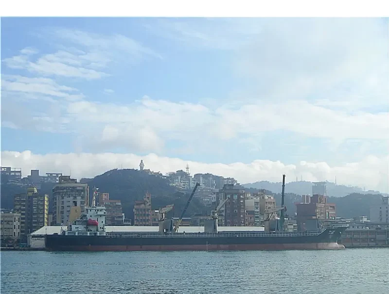 SMARTA Bulk Carrier IMO 9396567 photo 4